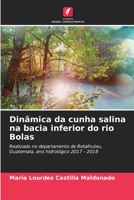 Dinâmica da cunha salina na bacia inferior do rio Bolas (Portuguese Edition) 6206467821 Book Cover