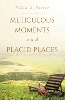 Meticulous Moments and Placid Places B0GN4D32KP Book Cover