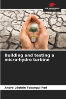 Building and testing a micro-hydro turbine 6206221334 Book Cover