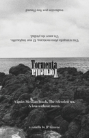 Tormenta; English & español: A quiet Mexican beach. The relentless sea. A love without mercy. / Una tranquila playa mexicana. El mar implacable. Un amor sin piedad. (Multilingual Edition) B0GRCVM3M6 Book Cover