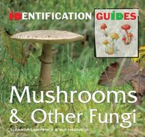 Mushrooms and Other Fungi 1844519309 Book Cover