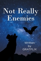 Not Really Enemies B0CB22LFPJ Book Cover