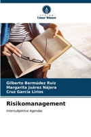 Risikomanagement (German Edition) 6207000315 Book Cover