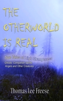 The Otherworld Is Real: True Tales Of High Strangeness B0GY2YZ6HK Book Cover