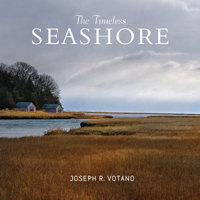 The Timeless Seashore 0764354884 Book Cover