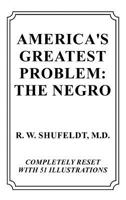 America's greatest problem: the Negro 0548203032 Book Cover