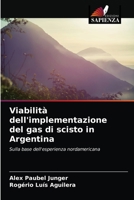 Viabilità dell'implementazione del gas di scisto in Argentina 6203514659 Book Cover