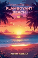 Stranded on Flamboyant Beach - Volume 1 B0GJJNL87C Book Cover