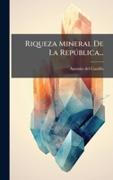 Riqueza Mineral De La Repðblica... (Spanish Edition) 1024768953 Book Cover