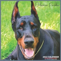 Doberman Pinscher Calendar 2022: Official Doberman Dogs Calendar 2022, 16 Month Calendar 2022 B096TN9C1W Book Cover