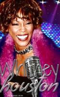 whitney Houston Tribute Drawing Journal 0464083621 Book Cover