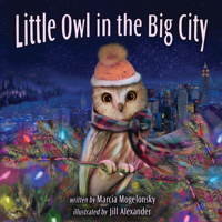 Little Owl in the Big City 0809168006 Book Cover