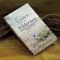 Grace in the Wilderness: Reflections on God's Sustaining Word Along Life's Journey 0870295527 Book Cover