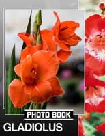 Gladiolus Photo Book: Vibrant Floral Collection Featuring 40 Stunning Images Of Gladiolus Blooms B0DPT8NFG4 Book Cover