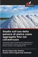 Studio sull'uso della polvere di pietra come aggregato fine nel calcestruzzo (Italian Edition) 6208078334 Book Cover