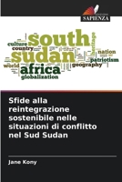Sfide alla reintegrazione sostenibile nelle situazioni di conflitto nel Sud Sudan (Italian Edition) 6209676219 Book Cover