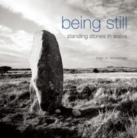 Being Still: Standing Stones in Wales 0982622694 Book Cover
