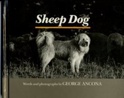 Sheep Dog 0688041183 Book Cover