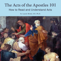 The Acts of the Apostles 101: How to Read and Understand Acts 1666539678 Book Cover
