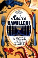 A Voice in the Night 014312644X Book Cover