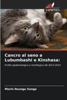 Cancro al seno a Lubumbashi e Kinshasa 6204177206 Book Cover