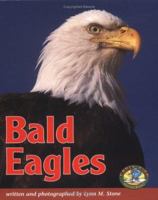 Bald Eagle (Stone, Lynn M. Animals in U.S. History.) 0822530341 Book Cover
