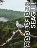 Seagull Photo Book: Explore Coastal Beauty With 40 Stunning Images Capturing Seagulls In Their Habitat B0DQ4HDYSV Book Cover