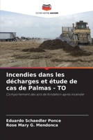 Incendies dans les décharges et étude de cas de Palmas - TO (French Edition) 6207441400 Book Cover