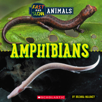 Fast and Slow: Amphibians 1338836471 Book Cover