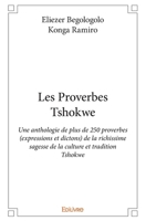 Les Proverbes Tshokwe (French Edition) 2414377518 Book Cover