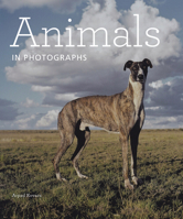 Animals in Photographs 160606441X Book Cover