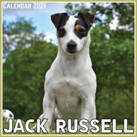 Jack Russell Calendar 2021: Official Jack Russell Calendar 2021, 12 Months B08WK258XZ Book Cover