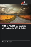 TBT e PWHT su acciaio al carbonio S516 Gr70 6209475345 Book Cover
