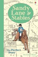 The Perfect Pony (Sandy Lane Stables) 0794505058 Book Cover
