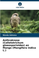 Anthraknose (Colletotrichum gloeosporioides) an Mango (Mangifera indica L.) (German Edition) 3330510013 Book Cover