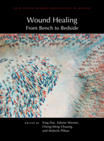 Wound Healing: From Bench to Bedside 1621824446 Book Cover