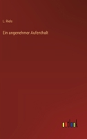 Ein angenehmer Aufenthalt 3368394509 Book Cover
