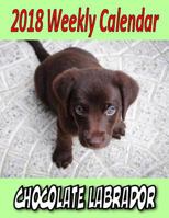 2018 Weekly Calendar Chocolate Labrador 1979573409 Book Cover