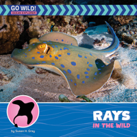 Rays in the Wild (21st Century Beginning Library: Go Wild! Ocean Explorer) 1668974207 Book Cover