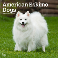 American Eskimo Dogs 2025 12 X 24 Inch Monthly Square Wall Calendar Plastic-Free 1975476492 Book Cover