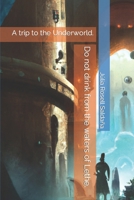 Do not drink from the waters of Lethe.: A trip to the Underworld. B0BKRZV5LC Book Cover