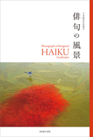 Photographs of Imagined Haiku Landscapes 4838198396 Book Cover