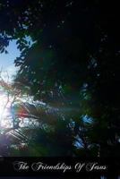 The Friendships Of Jesus 1466427337 Book Cover