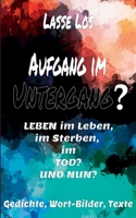 Aufgang im Untergang? (German Edition) 3749496528 Book Cover