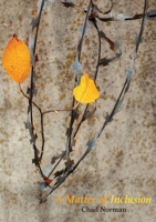 A Matter of Inclusion 1779213344 Book Cover