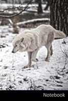 Notebook: Polarwolf、オオカミ、荒野、白 ノートブック/ 日記 / ライティングブック / ノーӠ 1675964637 Book Cover