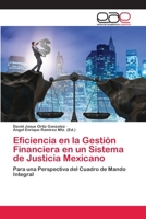 Eficiencia en la Gestión Financiera en un Sistema de Justicia Mexicano 6202121602 Book Cover