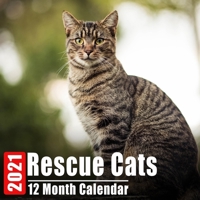 Calendar 2021 Rescue Cats: Cute Kittens Photos Monthly Mini Calendar With Inspirational Quotes each Month B08C94RNTG Book Cover