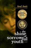 The shine of sorrowful youth 1966477139 Book Cover