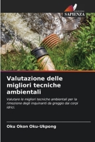Valutazione delle migliori tecniche ambientali (Italian Edition) 6208357926 Book Cover